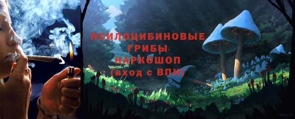 амф Алексеевка