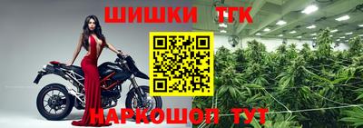стаф Моздок